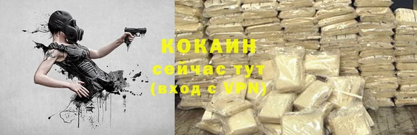 соль ск Богородицк