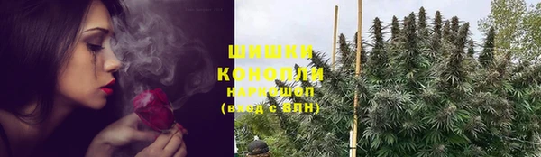 соль ск Богородицк