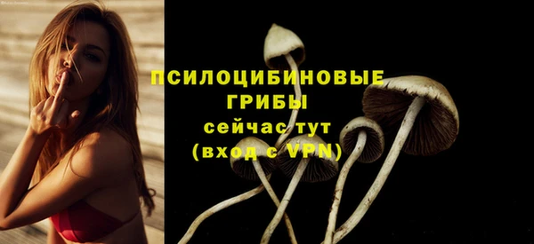 каннабис Богданович