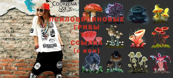 каннабис Богданович