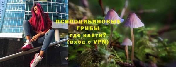 прущая мука Богородск