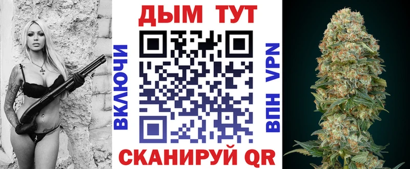 Купить закладки  Волхов  Шишки марихуана Ganja 